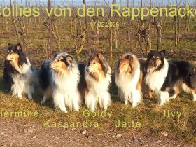 von den Rappenäckern