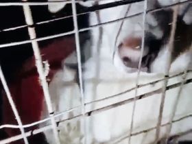 Philipp ist zur Ausreise bereit