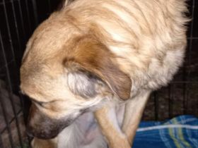 Resi wartet auf dich