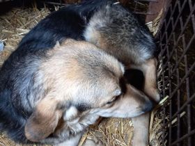 Wer verliebt sich in Ricky?