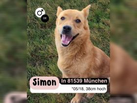 Kleiner SIMON mir großem Herz