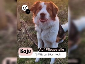 BAJU mit Charakter und Herz