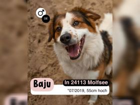 BAJU mit Charakter und Herz