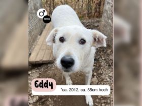 EDDY unser liebevoller Opa