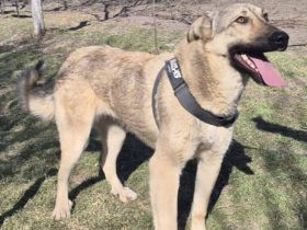 Hope blickt hoffnungsvoll in die Zukunft