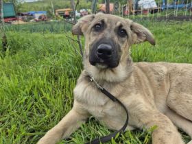 Hope blickt hoffnungsvoll in die Zukunft