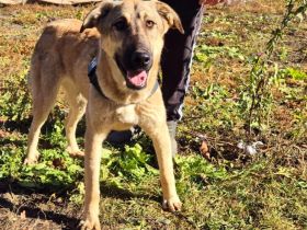 Hope blickt hoffnungsvoll in die Zukunft