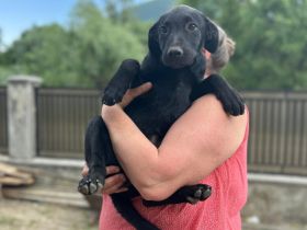 Smarty hofft eine eine tolle Zukunft