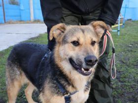 Zauberhafte Jojo sucht ihre Menschen