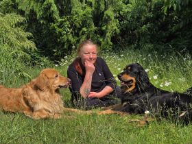 Hovawarte vom Caputher See