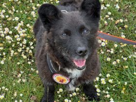 Mit Lady Liberty auf Entdeckungstour