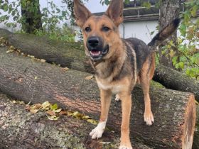 Lass dich von Maverick verzaubern!