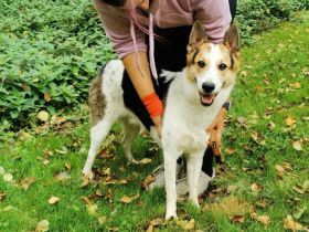 Wer schenkt Loon ein Leben voller Liebe?