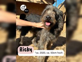 Großer RICKY mit noch größerem Herz