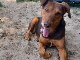 Tolle Begleiterin Pearly