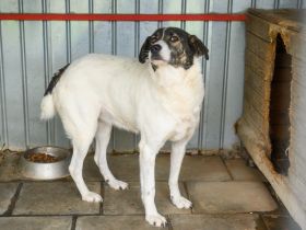 Zeynep kann tatsächlich lächeln!