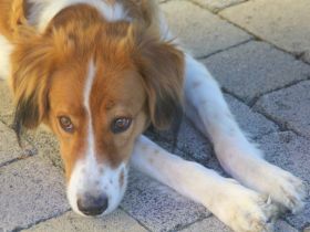 Nicos und Nina - zwei Griechen auf der Suche