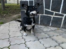 Aktiver Camino will die Welt entdecken!