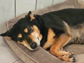 Wella sucht ihren sicheren Hafen