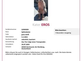 Wichtige Information für Käufer von Sphynx-Katzen!