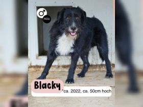 BLACKY möchte das Leben kennenlernen