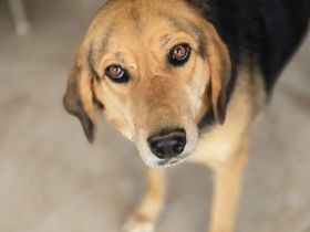 Lara zartes Herz sucht einen sicheren Platz zum Ankommen