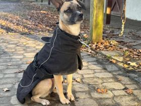 Payton sucht ihr perfect match