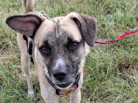 Payton sucht ihr perfect match