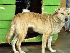 Wer schenkt Bettina eine sorgenfreie Zukunft?