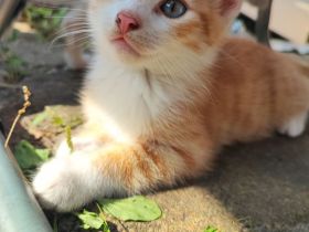 Aufgrund von persönl.Krankheit... Preisnachlass auf 125