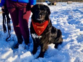 Wärme und Zuversicht für Nouri