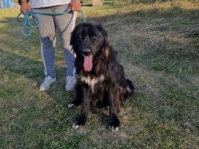 Wärme und Zuversicht für Nouri