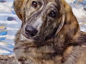 Noemi und Perla warten