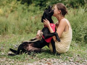 Labra sehnt sich nach menschlicher Zuneigung