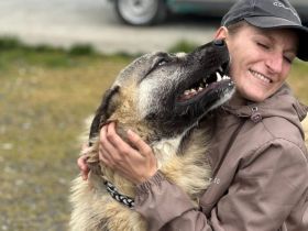 Herzensbrecher Tommy sucht seine Menschen