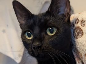 2 EHK SCHNELLST MÖGLICH ABZUGEBEN