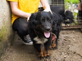 Toller Kerl Jamie möchte bei dir einziehen