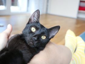 Nashi ist berei für ein neues Leben