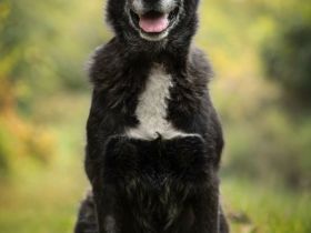 Unkomplizierte ​Agata möchte ihr Herz verschenken