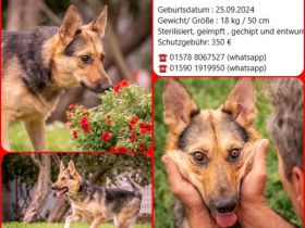 Kann Vishnja dich verzaubern ?!