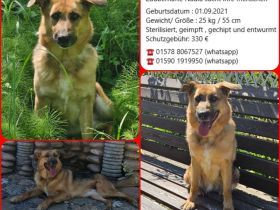 Zauberhafte Nadia sucht ihre menschen