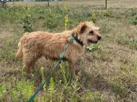 Szinesz, hübsche Blondine möchte sich nicht langweilen