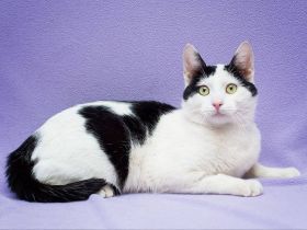 Zaki will nicht mehr alleine sein