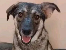 Verzaubert Lori dich mit ihren augen ?!