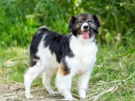 Kleine Margo sucht dich ....