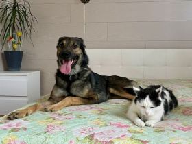 Wer hat ein herz für Rudy?!