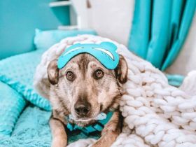 Breeze mit braunen augen sucht dich ...