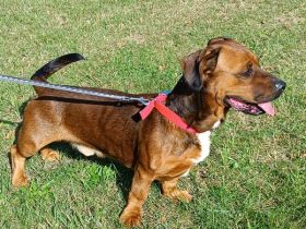 Karamel sehr lieb und freundlich