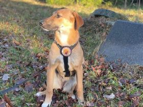 Lolly wartet schon auf dich