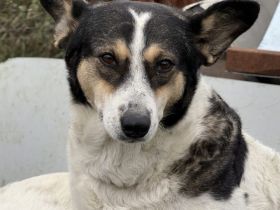 Noa ist bereit für ein neues Leben